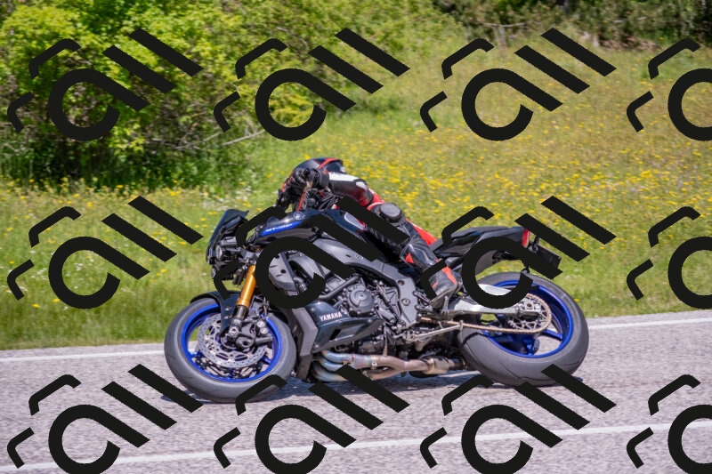 202506021200-DSC_8473_c4_