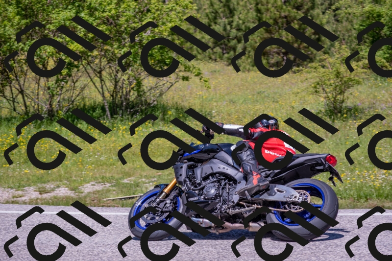 202506021200-DSC_8474_c4_