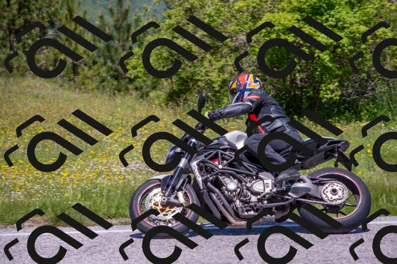 202506021200-DSC_8479_c4_