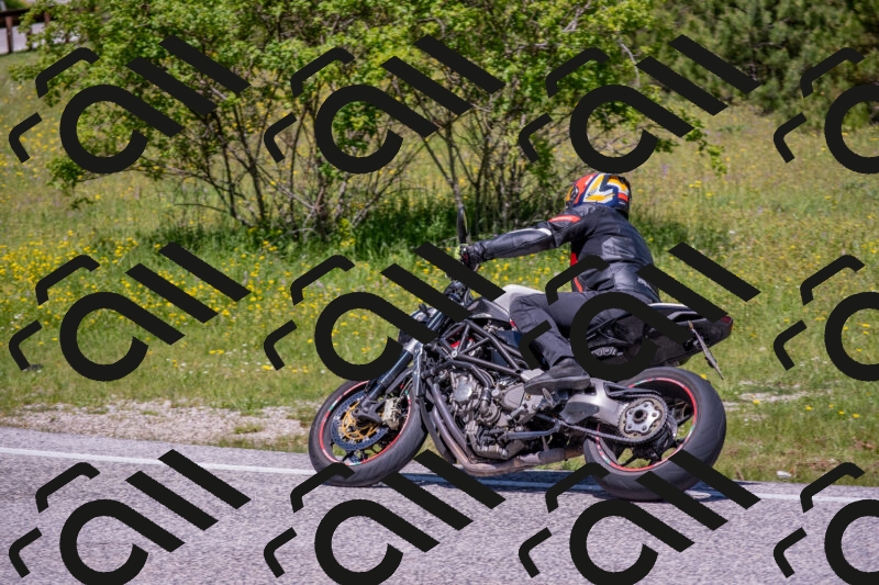 202506021200-DSC_8480_c4_