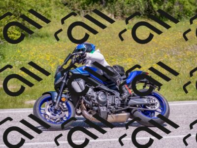 202506021200-DSC_8485_c4_