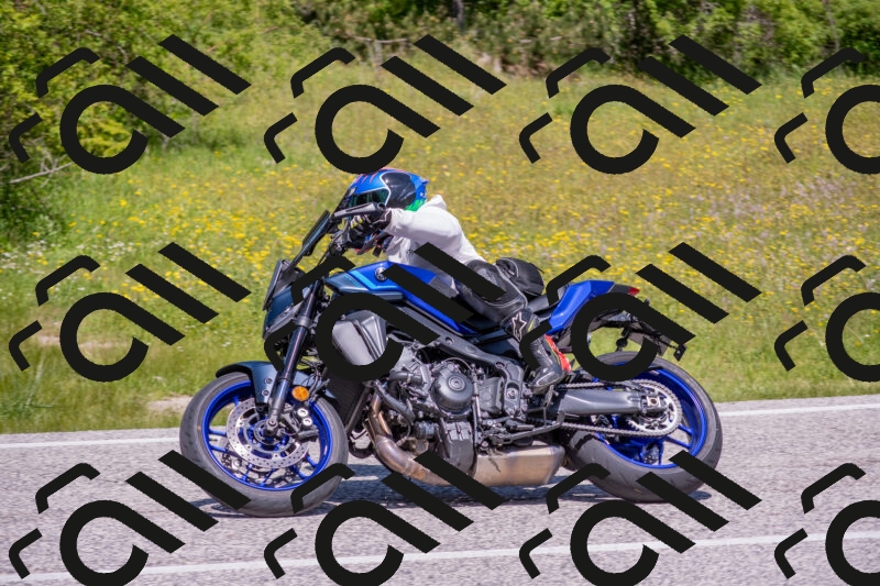 202506021200-DSC_8485_c4_