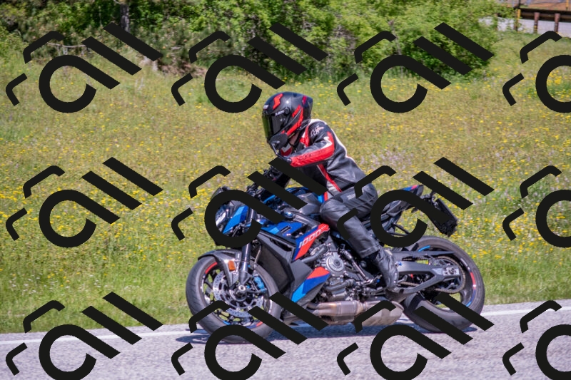 202506021200-DSC_8488_c4_