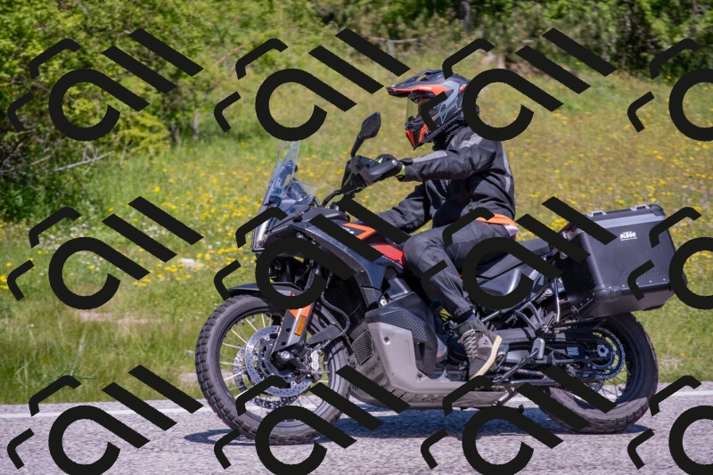 202506021200-DSC_8489_c4_