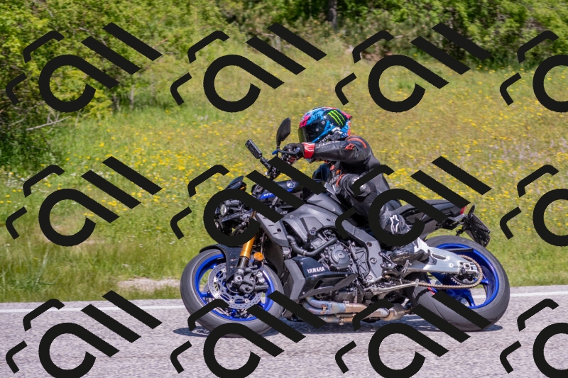 202506021200-DSC_8490_c4_