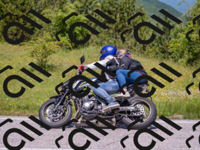 202506021200-DSC_8491_c4_