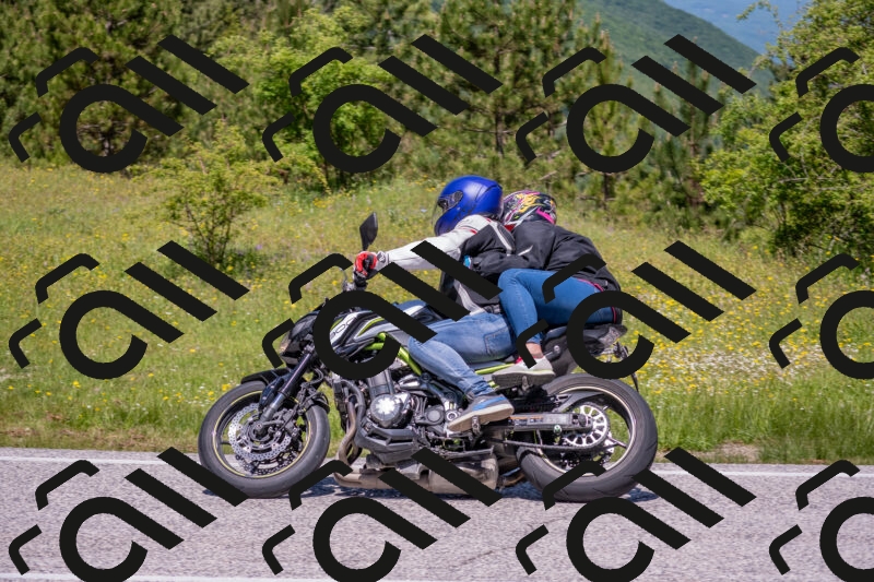 202506021200-DSC_8491_c4_