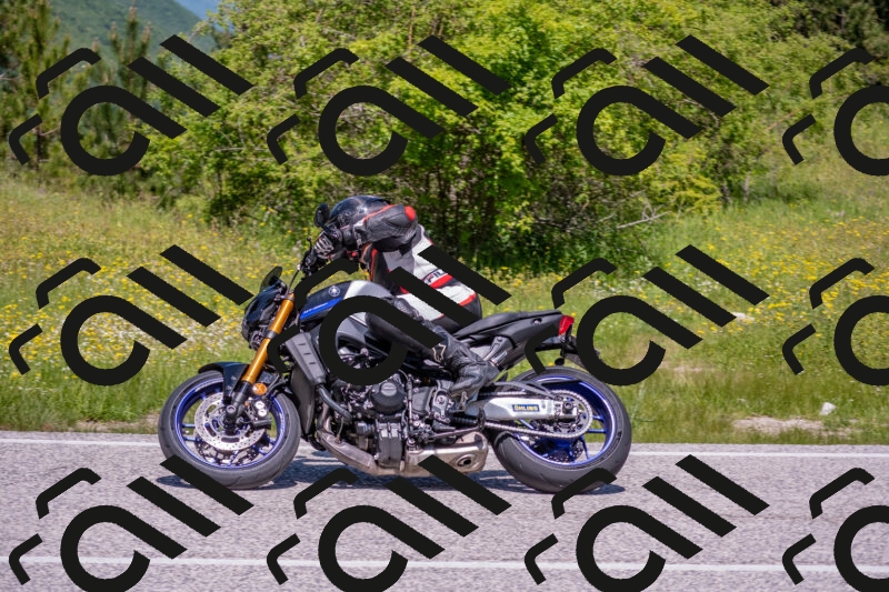 202506021201-DSC_8492_c4_