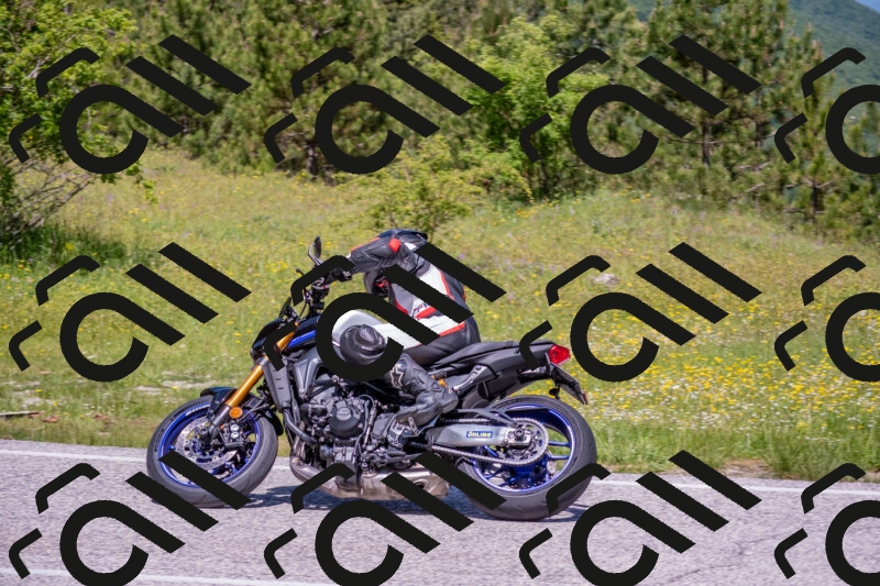 202506021201-DSC_8493_c4_