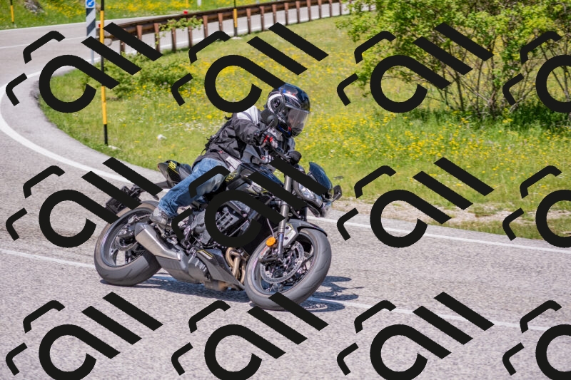 202506021201-DSC_8494_c4_