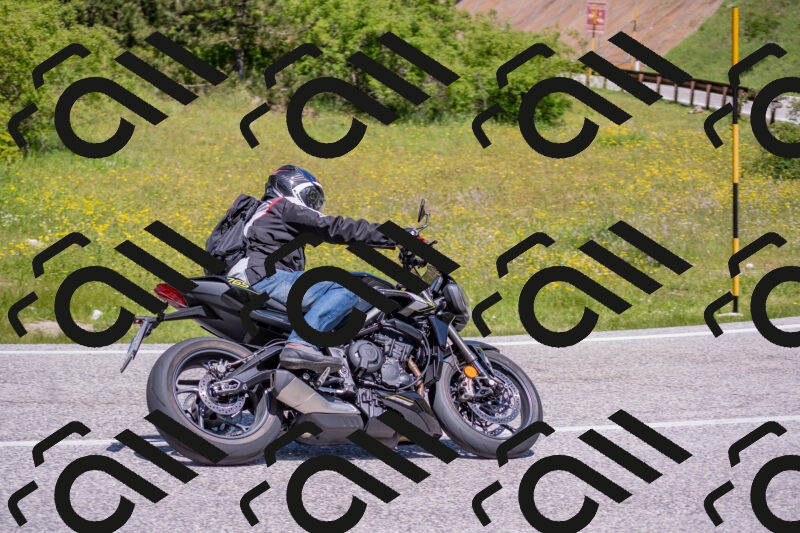 202506021201-DSC_8496_c4_