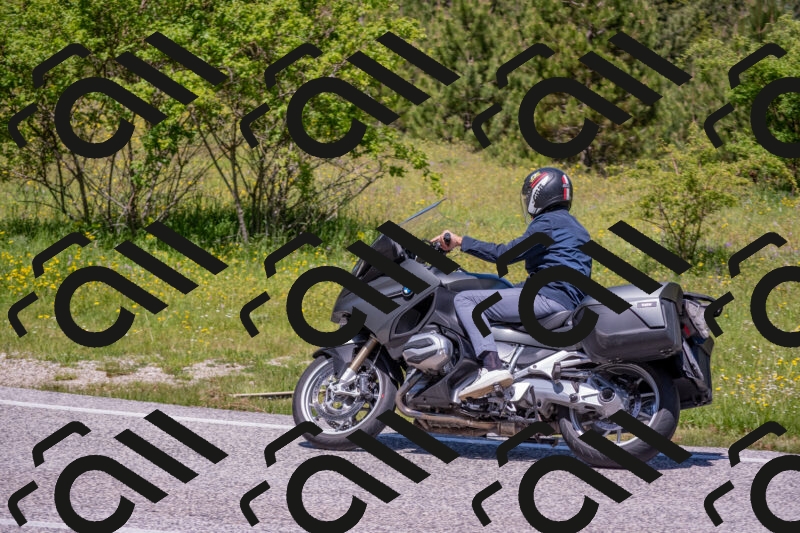 202506021201-DSC_8499_c4_