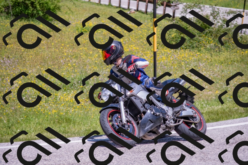 202506021201-DSC_8500_c4_