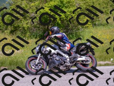 202506021201-DSC_8501_c4_