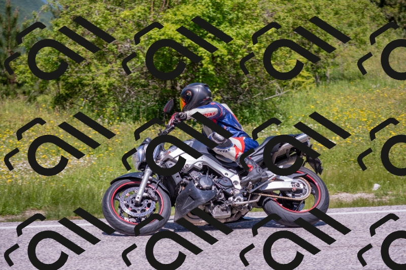 202506021201-DSC_8501_c4_