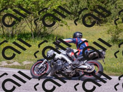 202506021201-DSC_8502_c4_