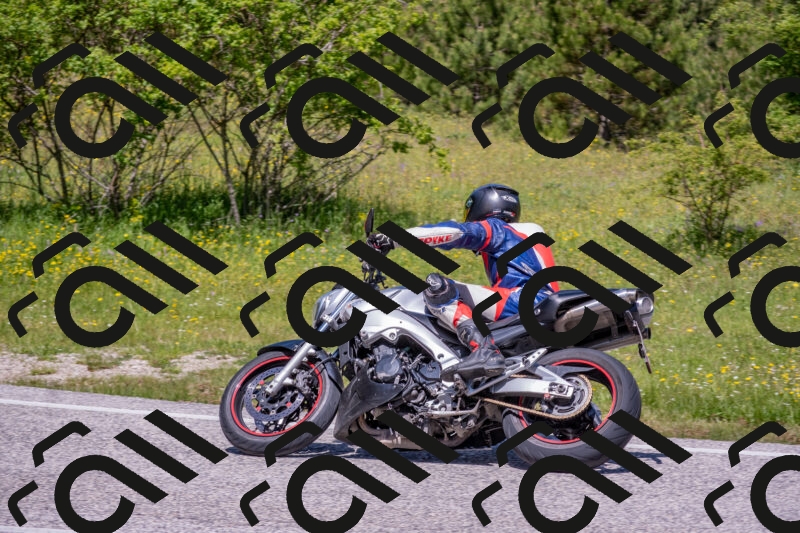 202506021201-DSC_8502_c4_