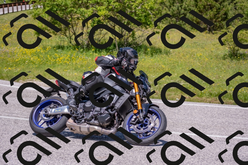 202506021201-DSC_8504_c4_