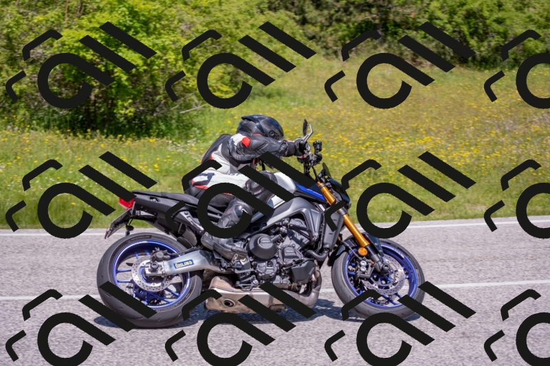 202506021201-DSC_8505_c4_