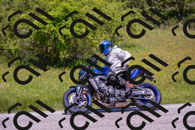 202506021202-DSC_8507_c4_