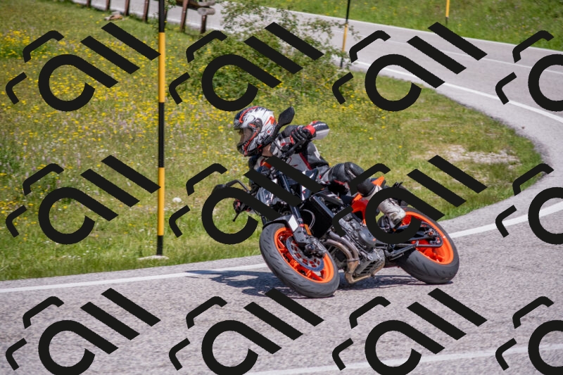 202506021202-DSC_8511_c4_