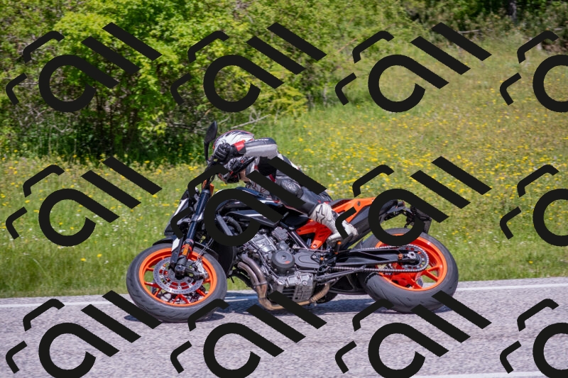 202506021202-DSC_8512_c4_