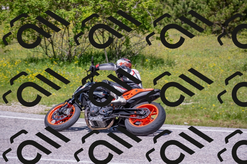 202506021202-DSC_8513_c4_