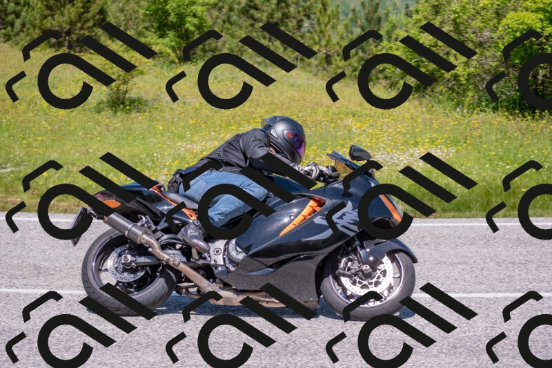 202506021202-DSC_8516_c4_