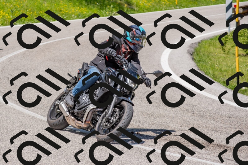 202506021203-DSC_8520_c4_