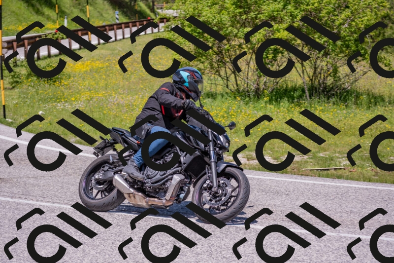 202506021203-DSC_8521_c4_