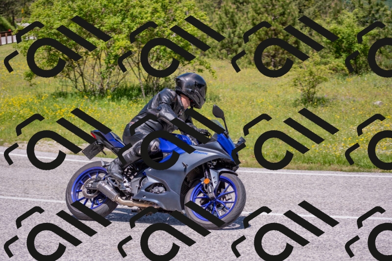 202506021203-DSC_8523_c4_