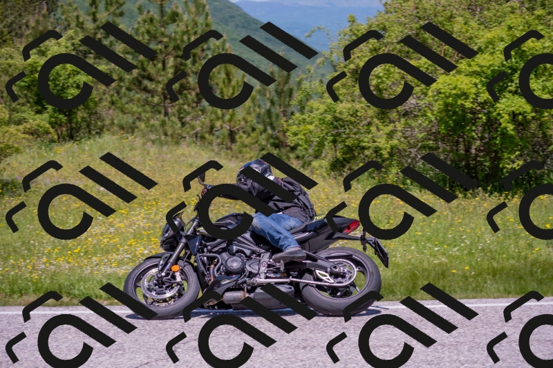 202506021203-DSC_8524_c4_