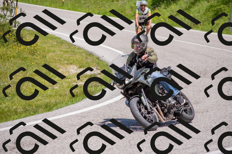 202506021203-DSC_8529_c4_