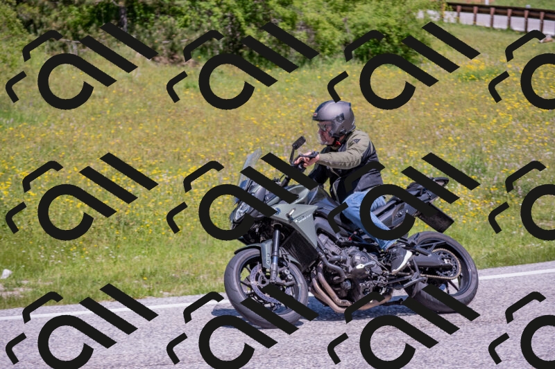 202506021203-DSC_8530_c4_