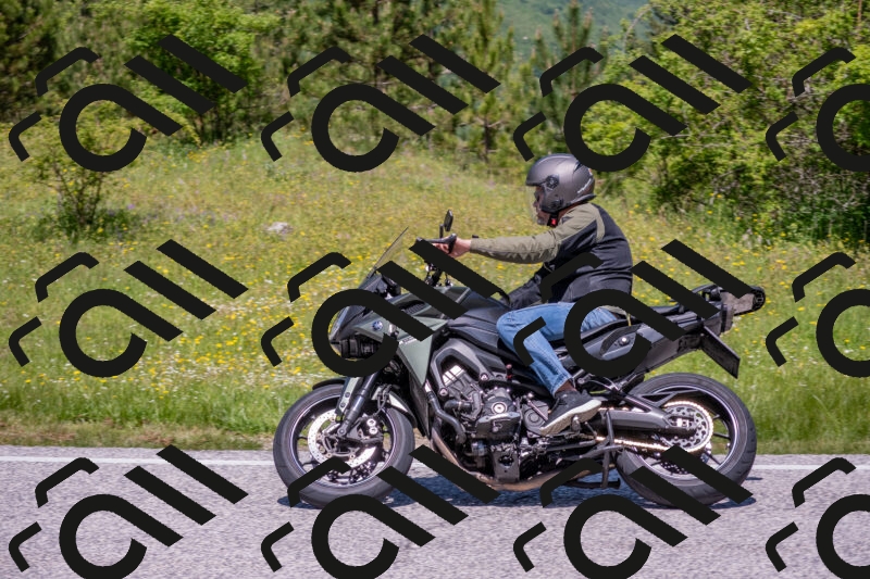 202506021203-DSC_8531_c4_