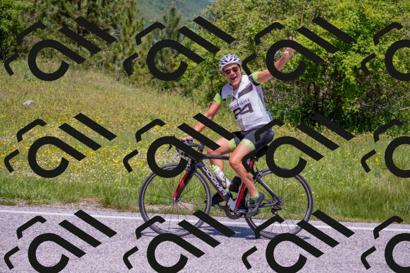 202506021203-DSC_8532_c4_