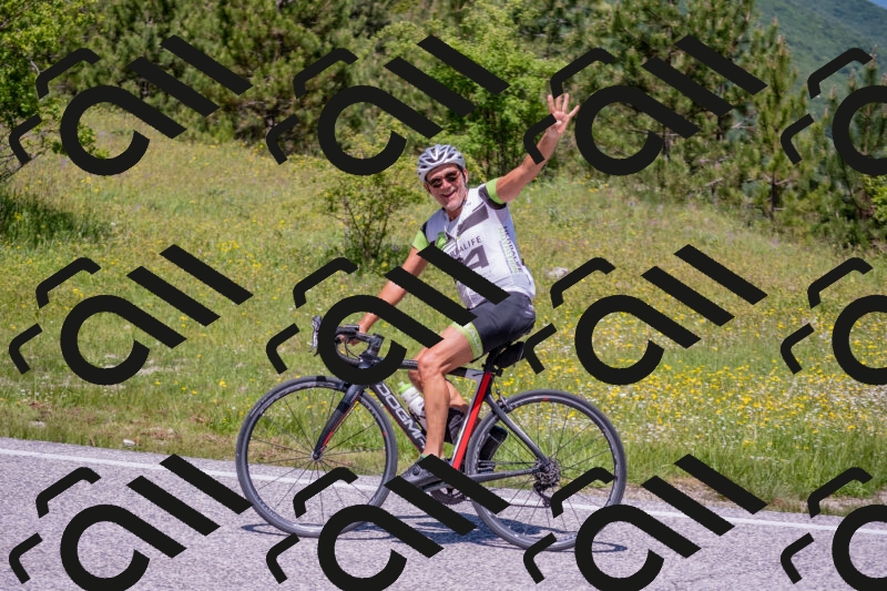 202506021203-DSC_8533_c4_