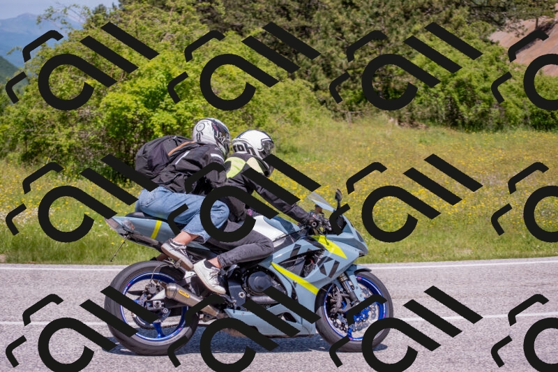 202506021204-DSC_8536_c4_