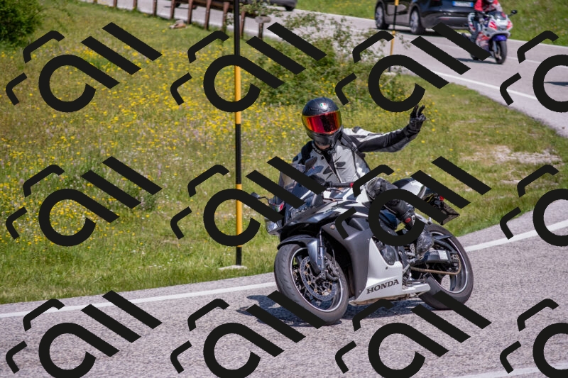 202506021204-DSC_8538_c4_