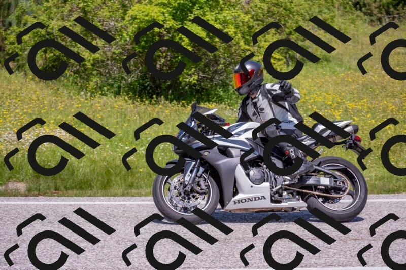 202506021204-DSC_8539_c4_