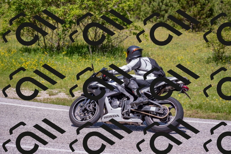 202506021204-DSC_8540_c4_