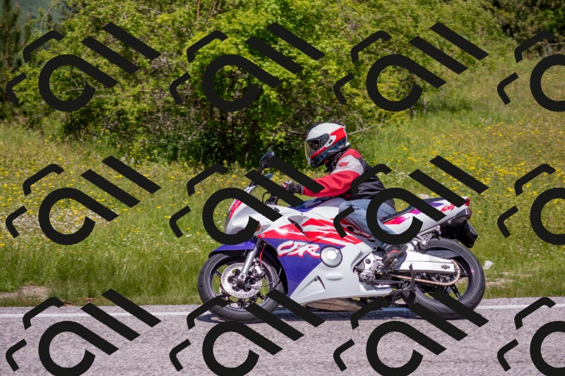 202506021204-DSC_8543_c4_