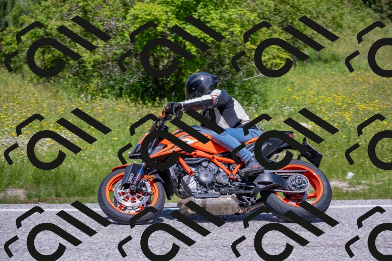 202506021204-DSC_8544_c4_