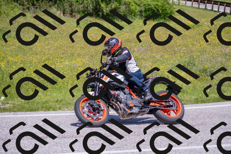 202506021204-DSC_8545_c4_