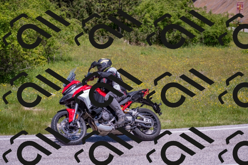 202506021204-DSC_8547_c4_