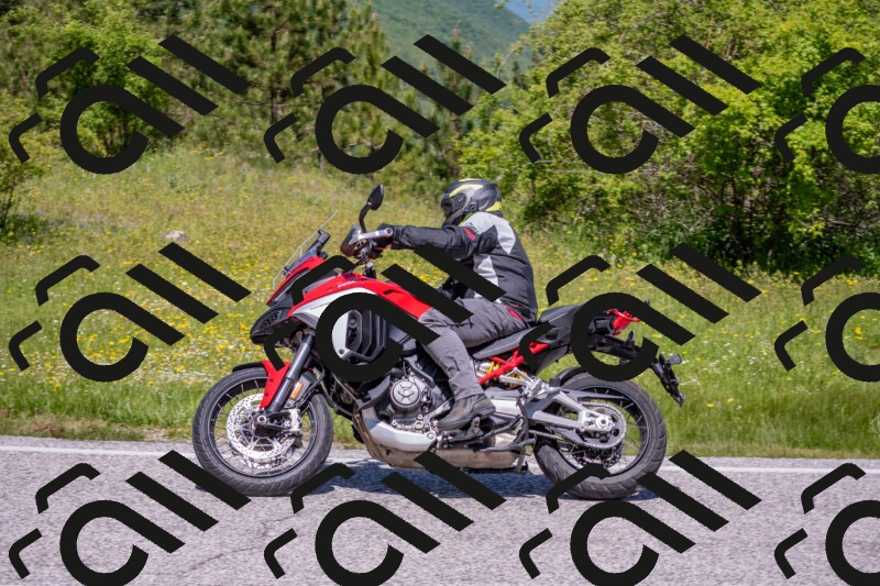 202506021204-DSC_8548_c4_