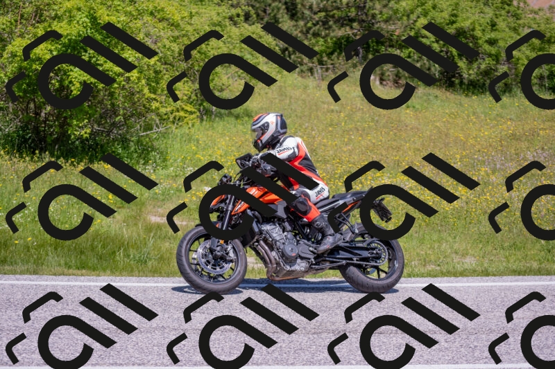 202506021204-DSC_8552_c4_