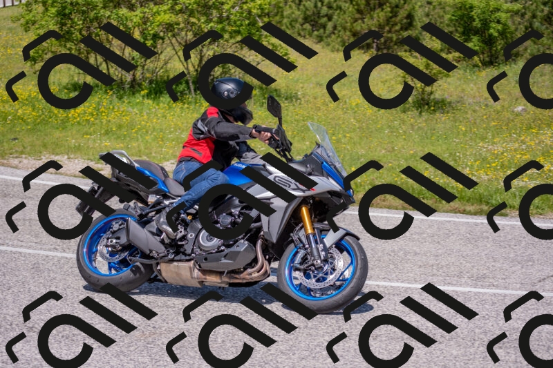 202506021205-DSC_8556_c4_