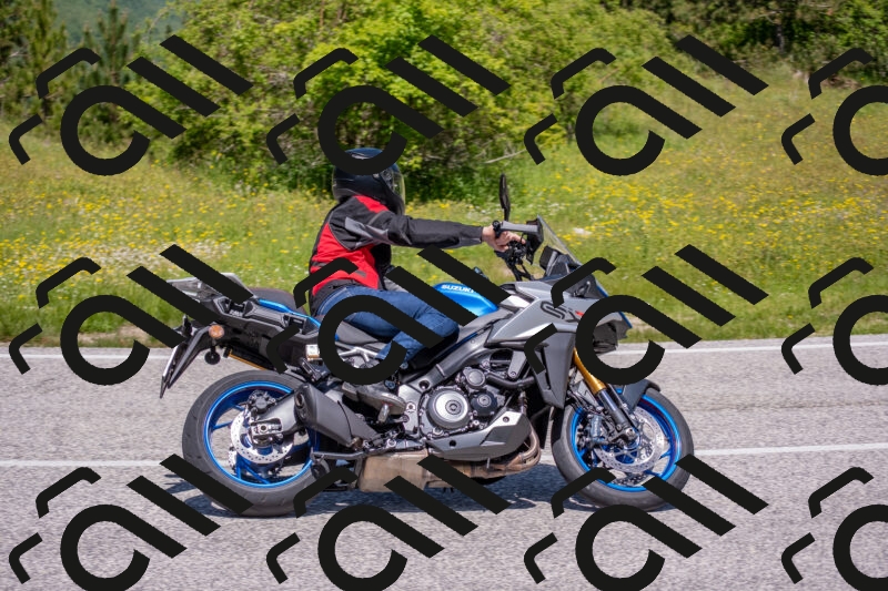 202506021205-DSC_8557_c4_