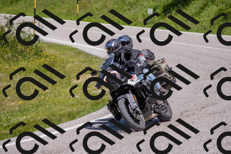 202506021205-DSC_8558_c4_